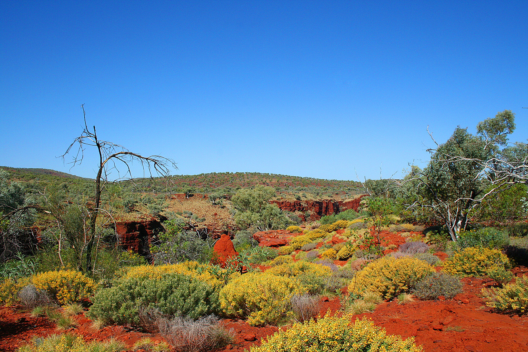 Western Australia Image 4